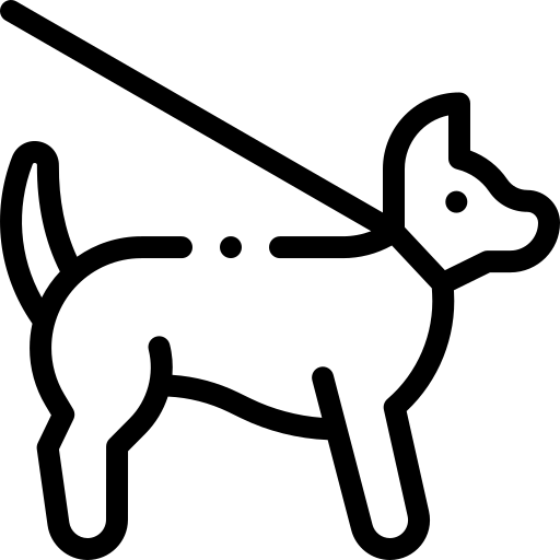 Educazione 
 di base
